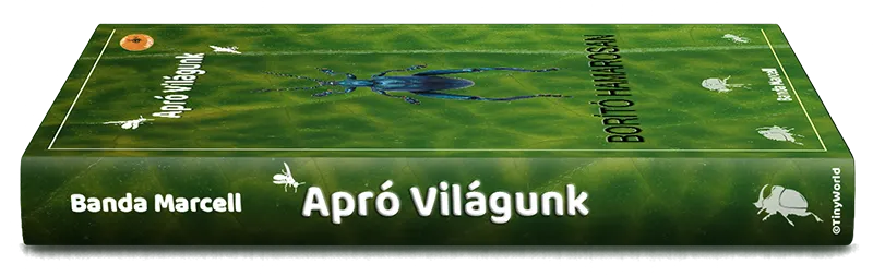 Apró Világunk Könyv