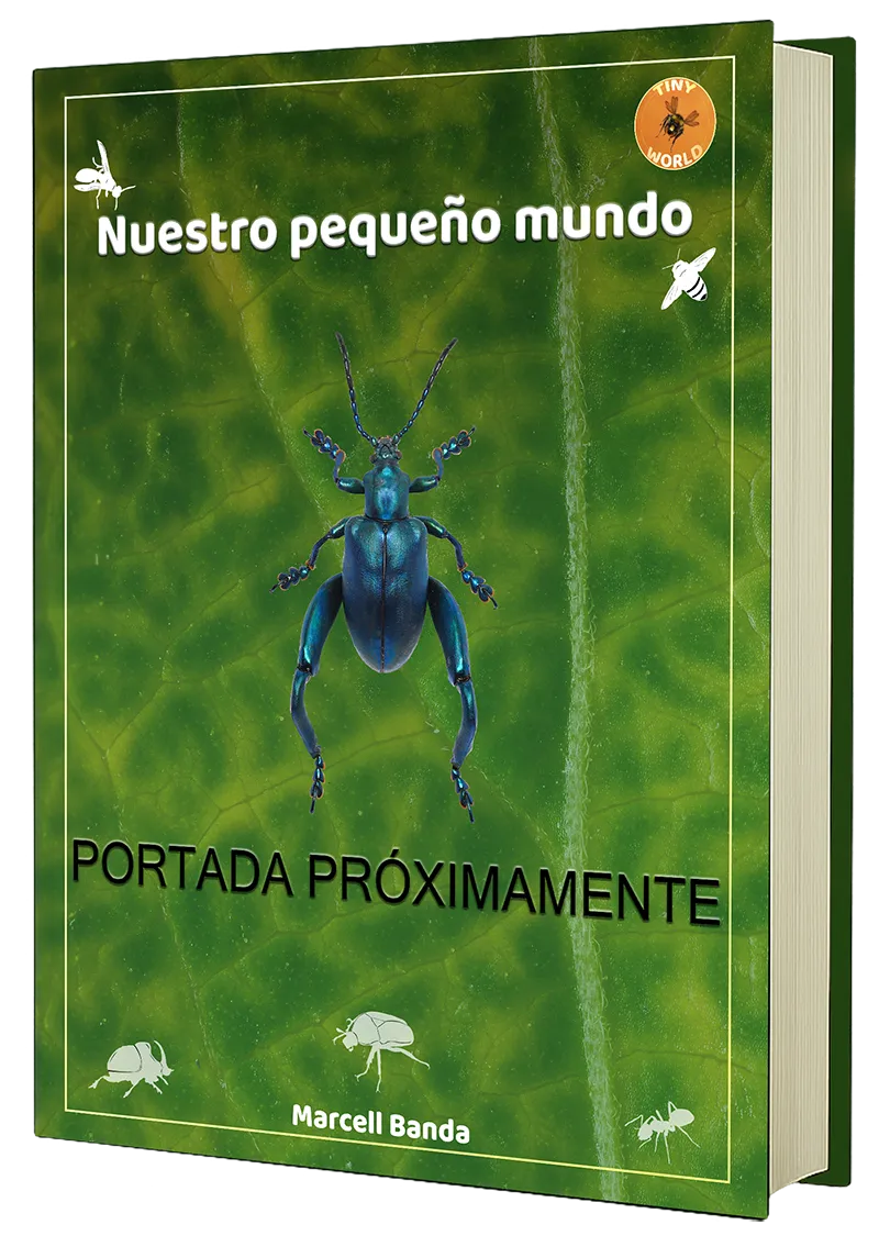 Libro Mundo Pequeño
