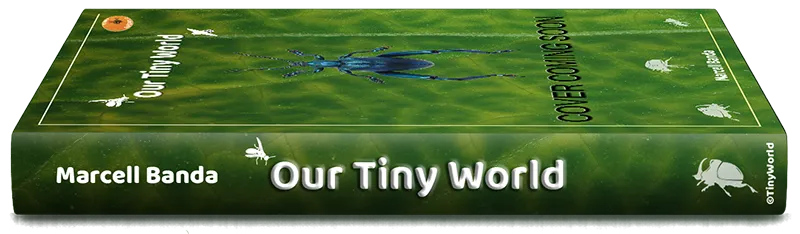 Tiny World Book
